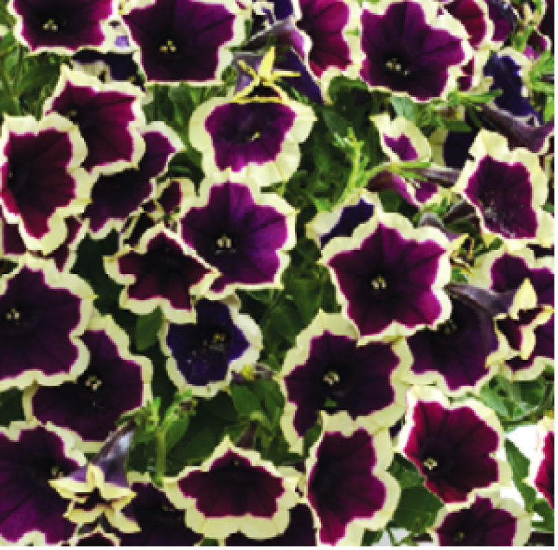 Снимок экрана 2025-10-23 1906315